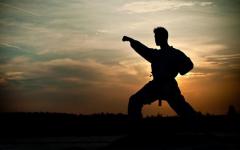 Ищу работу тренера-преподавателя по каратэ во Франции