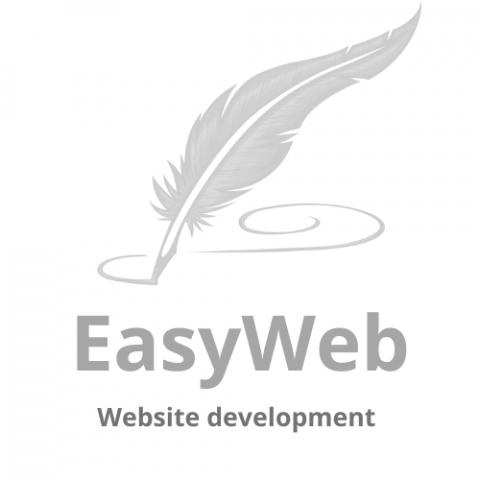 Разработка Web-сайтов - 1