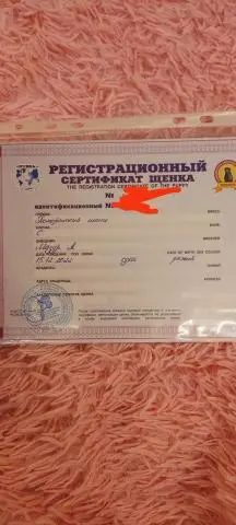 Продам щпицов