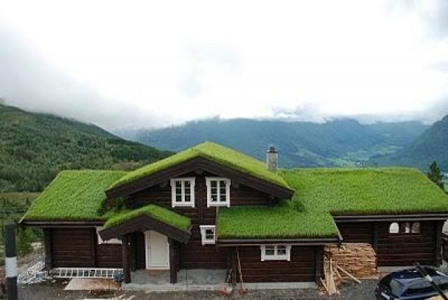 Литовская компания строит деревянные дома - 1