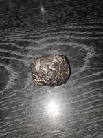 Martian Meteorite