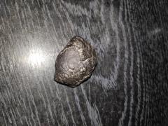 Martian Meteorite - Изображение 2