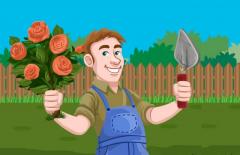 Ищу работу садовником