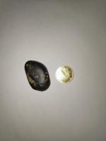 Meteorite Achondrite Rare 陨石