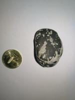Meteorite lunar Rare - Изображение 2
